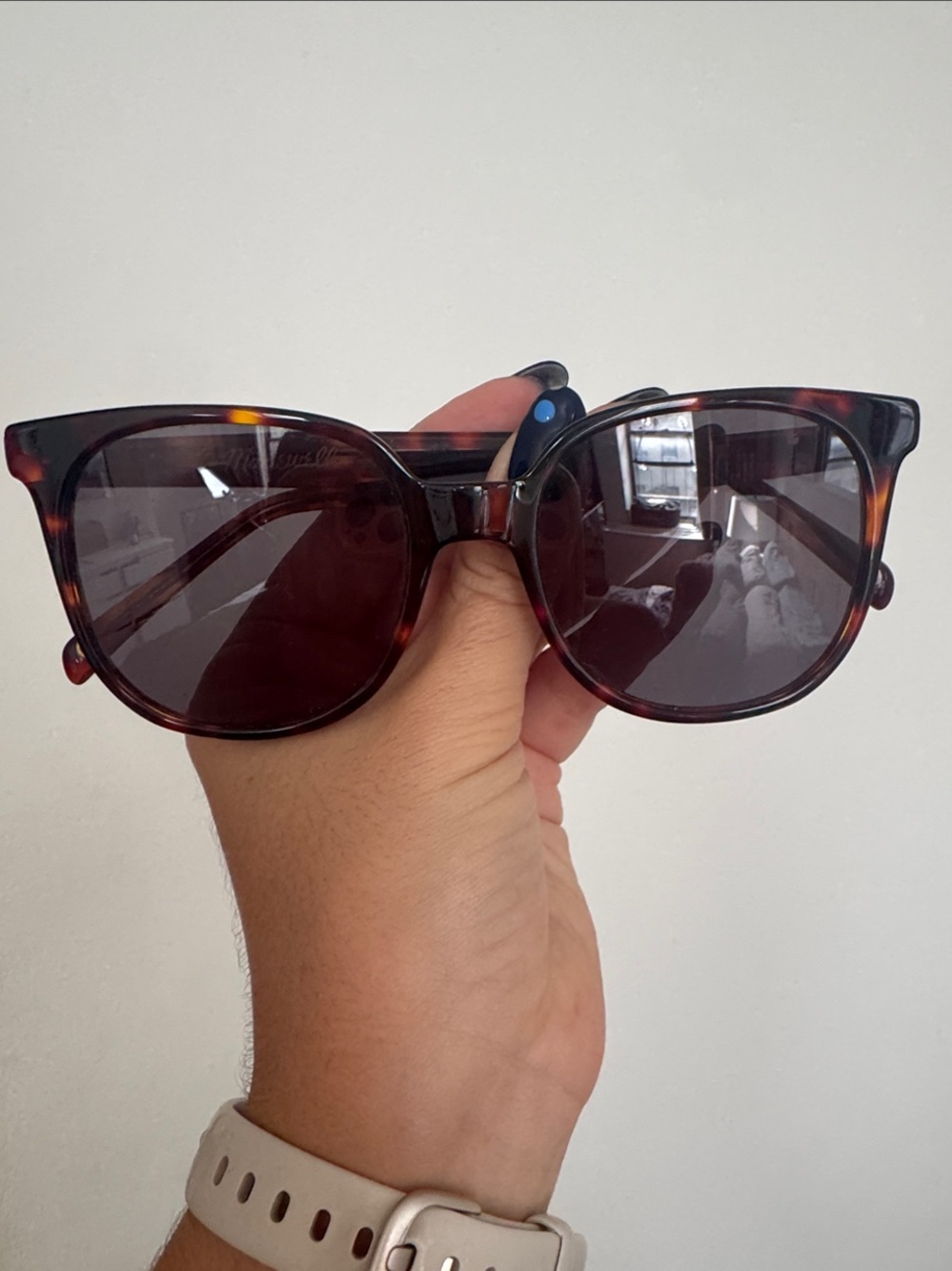 Madewell Tortoiseshell Sunglasses (Red/Brown Tortoise)